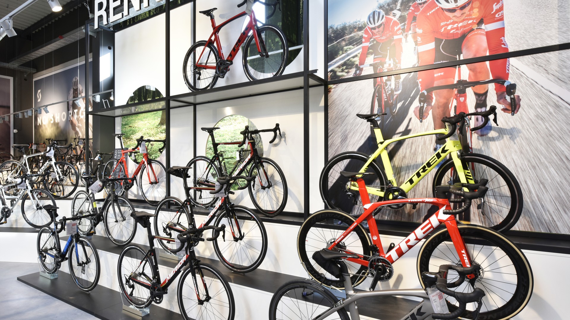 Fahrrad XXL Emporon Dresden Nord 2